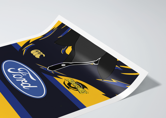 Wellington Hurricanes | vintage poster